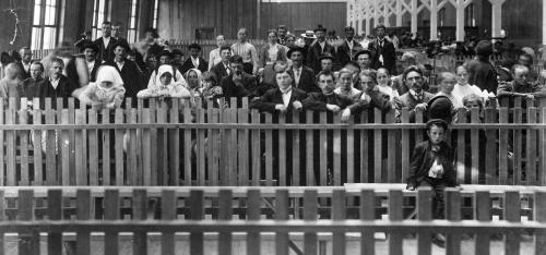 Newly arrived immigrants separated into pens according to their destinations on B&O trains at Locust Point Pier, June 14, 1904.