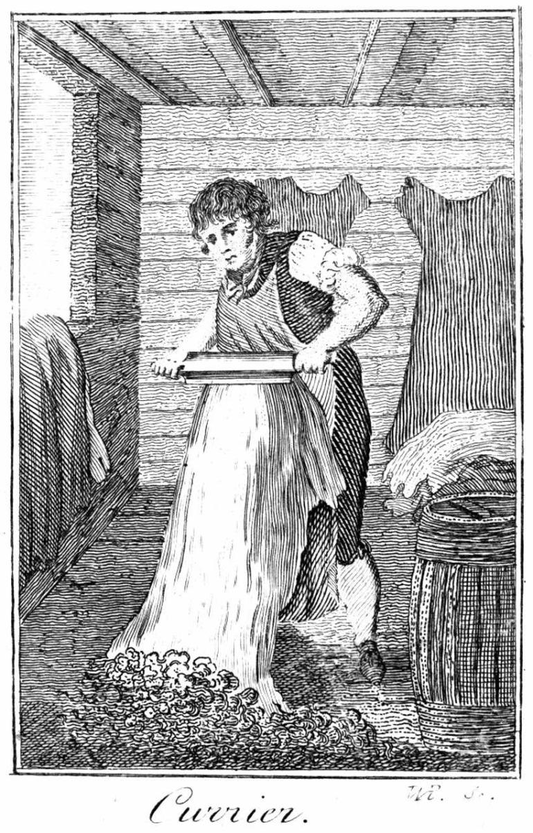 A currier processed hides into leather, from The Book of Trades or Library of Useful Arts, London, 1807. 