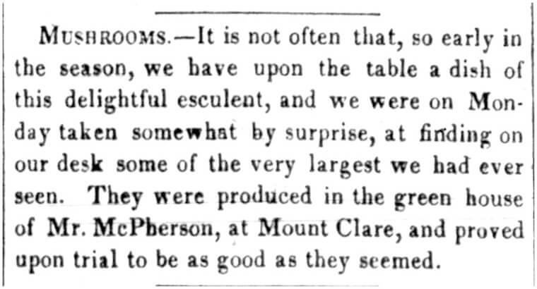 Ad recommending the greenhouse grown mushrooms at McPherson’s Mount Clare Hotel, Baltimore Sun, May 14, 1846.