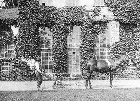 Harrison Roberts, who was formally enslaved at Wye House on the Easters shore, continued to tend the garden there into the early 20th century. Margaret Tilghman Carroll’s maternal relatives lived at Wye House and she would have knowledge of and access to this orangery, which still stands today.